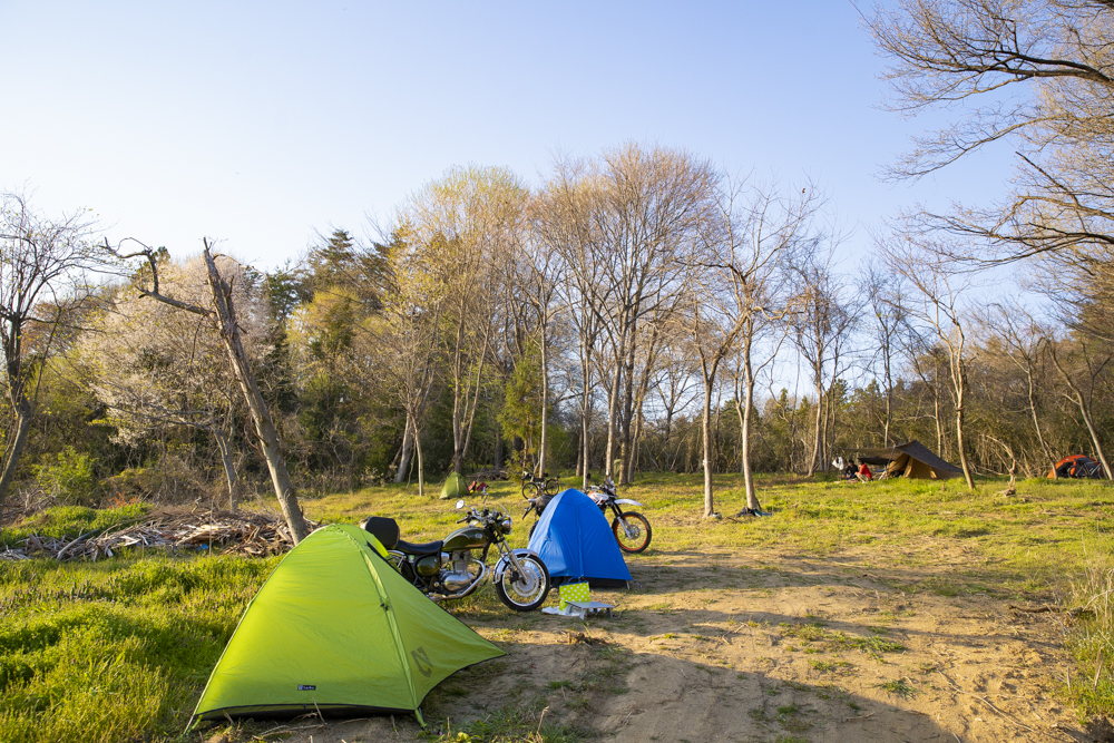 Sakura Bushcraft Fieldの林間サイト