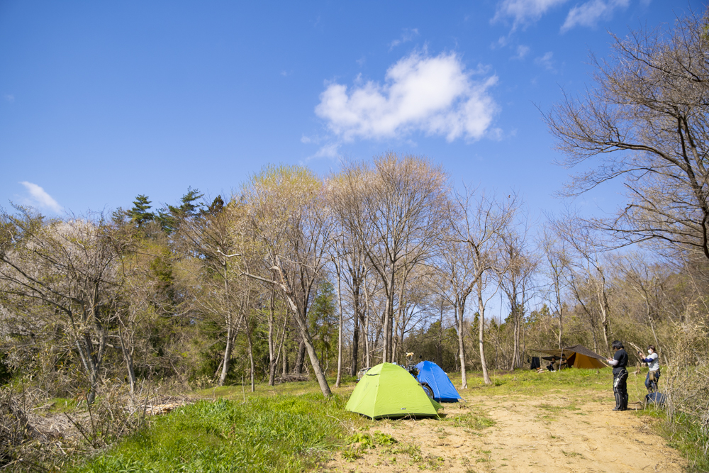 Sakura Bushcraft Fieldの林間サイト