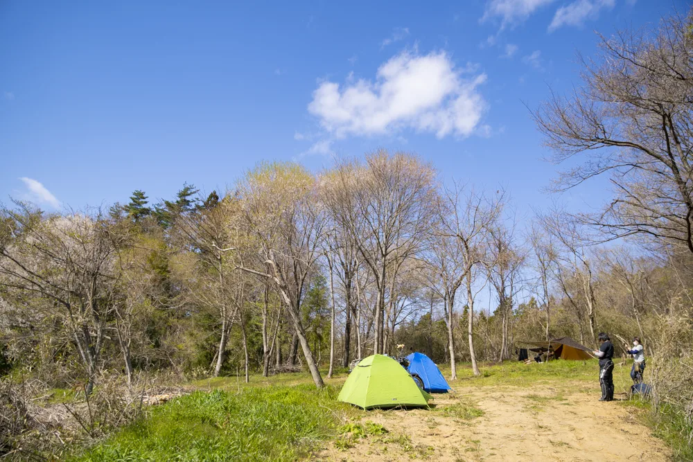 Sakura Bushcraft Fieldの林間サイト