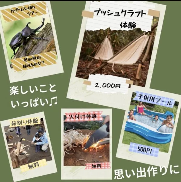 今年も暑い夏がやってきますよ〜 掲載画像